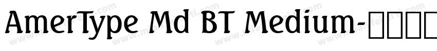 AmerType Md BT Medium字体转换